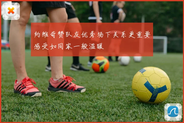 约维奇赞队友优秀场下关系更重要感受如同家一般温暖