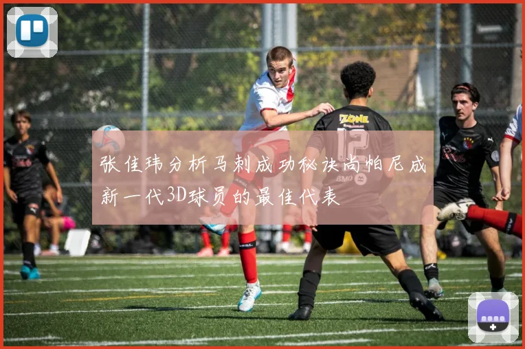 张佳玮分析马刺成功秘诀尚帕尼成新一代3D球员的最佳代表