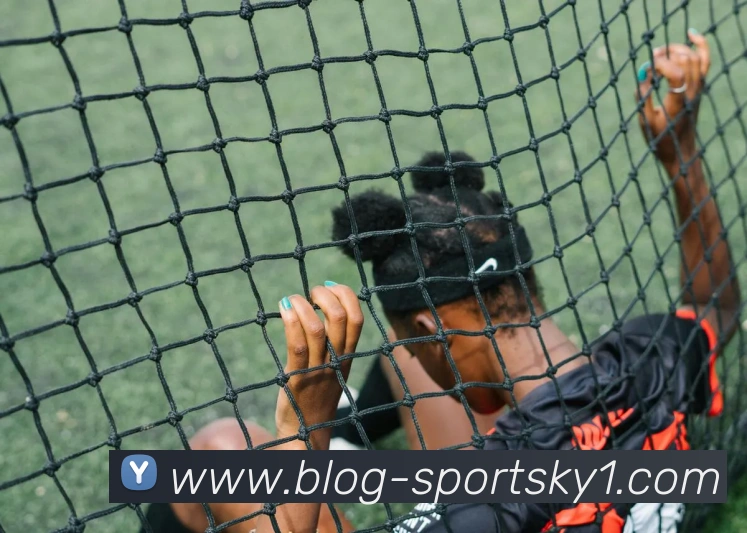 开云体育APP 封面图